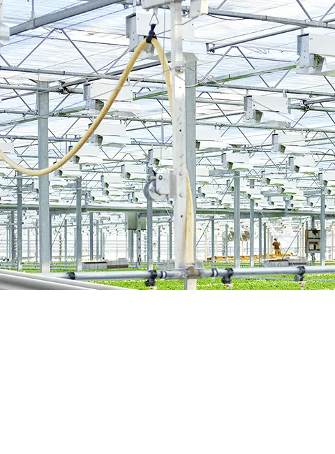 Ms Billets Manufacturer In Kerala